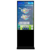 DSS DM-DK-55HD ЖК-монитор киоск Full-HD, 55'', 16:9