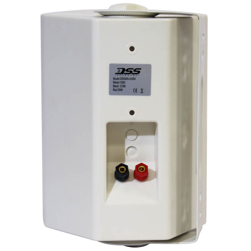 DSS DSSWS-430W Речевой оповещатель 30 Вт,  5''+1.5''