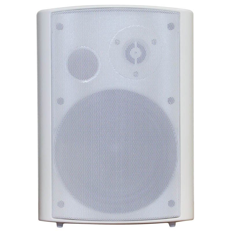 DSS DSSWS-440W Речевой оповещатель 40 Вт,  6''+1.5''